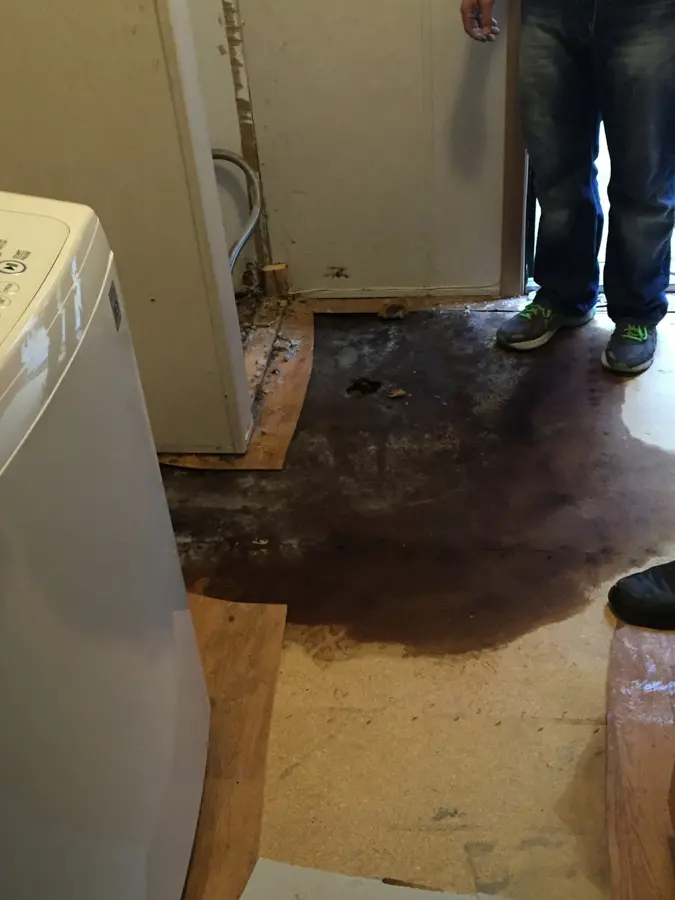 Pooled water spread over a laundry room floor, with a washer nearby