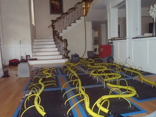 Drying mats and hoses running over a hardwood floor at the foot of the stairs