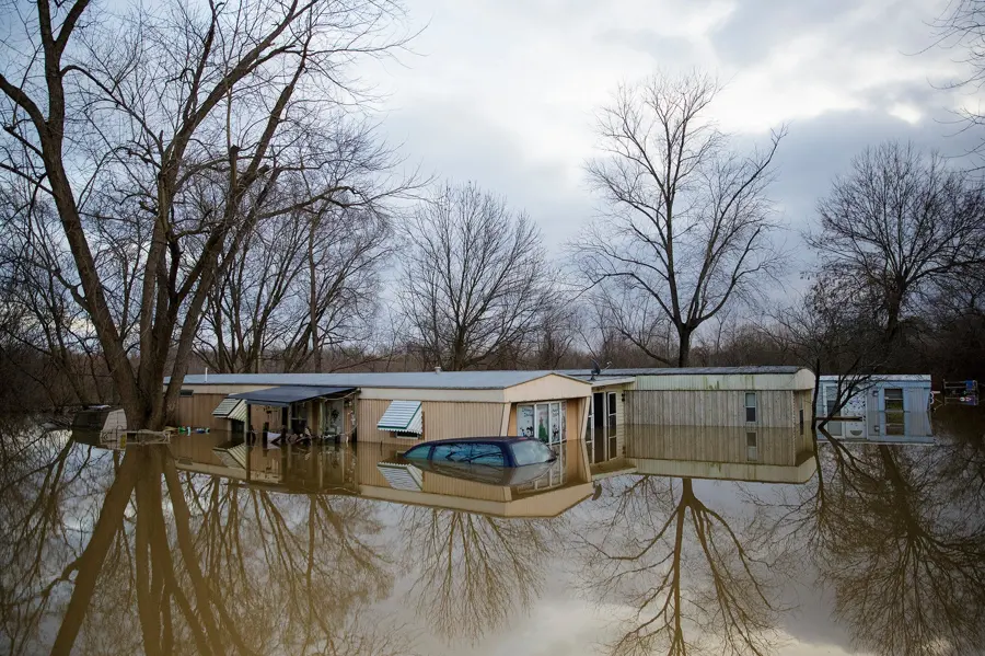 Houses in river floodwater among bare trees, flooding that Papillion creeks can bring