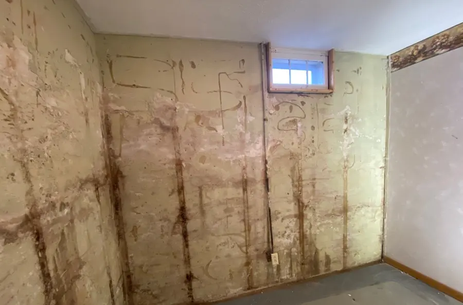 Foundation Seepage Cleanup in Papillion, NE