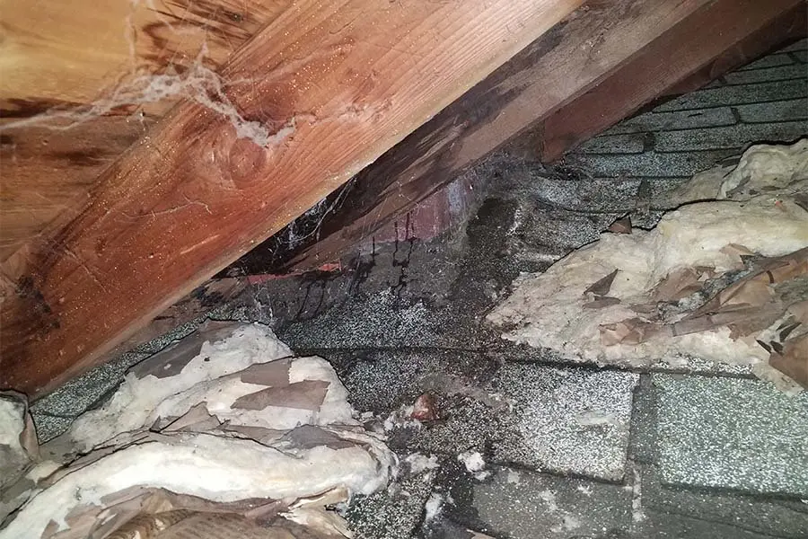 Wet, matted attic insulation under a roof rafter after a roof leak